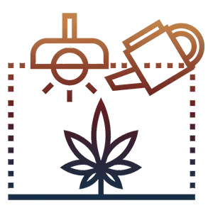 Growers